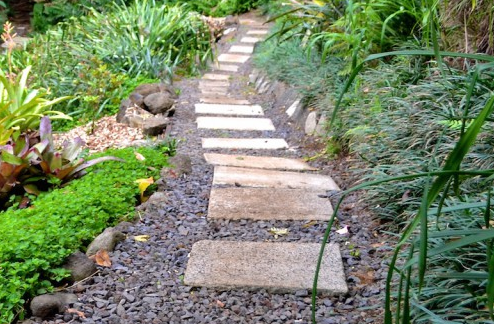 Lyon Arboretum
