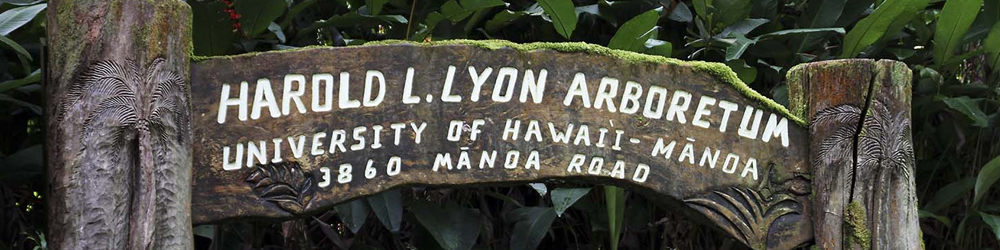 Lyon Arboretum