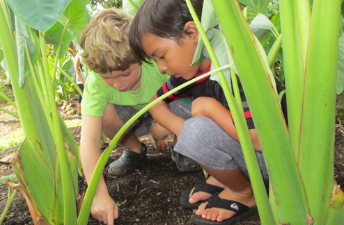 Manoa Heritage Center