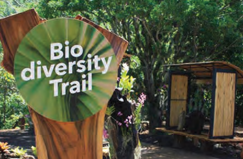 National Tropical Botanical Garden