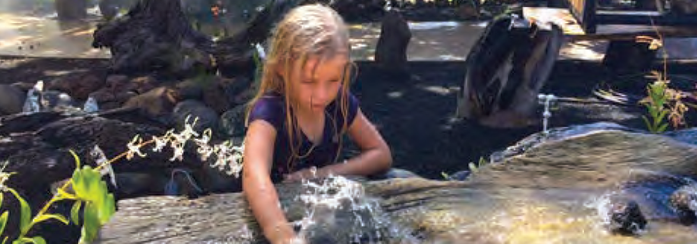 National Tropical Botanical Garden