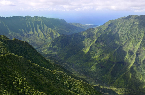 The Nature Conservancy of Hawaii