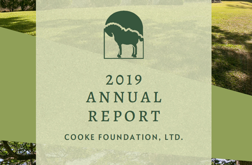 2019 Annual Reports